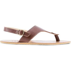 Be Lenka Sandales Promenade Barefoot Dark Brown EU 43 Femme - Publicité Be Lenka Sandales Promenade Barefoot Dark Brown EU 43 Femme - Publicité