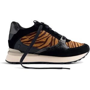 Gioseppo Baskets Baroda Brown EU 35 Femme - Publicité Gioseppo Baskets Baroda Brown EU 35 Femme - Publicité
