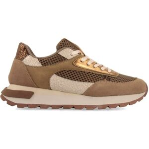 Gioseppo Baskets Funkley Taupe EU 36 Femme - Publicité Gioseppo Baskets Funkley Taupe EU 36 Femme - Publicité