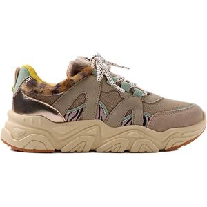 Gioseppo Baskets Redby Multicolor EU 35 Garçon,Fille - Publicité Gioseppo Baskets Redby Multicolor EU 35 Garçon,Fille - Publicité