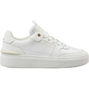 Cruyff Baskets Endorsed Tennis White EU 41 Homme - Publicité Cruyff Baskets Endorsed Tennis White EU 41 Homme - Publicité