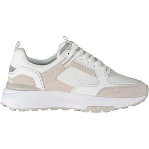 Cruyff Baskets Rayado White / Light Grey EU 41 Homme - Publicité Cruyff Baskets Rayado White / Light Grey EU 41 Homme - Publicité