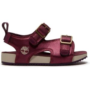 Timberland Sandales Pour Tout-petits Castle Island Backstrap Bright Purple Metallic EU 27 Garçon,Fille - Publicité Timberland Sandales Pour Tout-petits Castle Island Backstrap Bright Purple Metallic EU 27 Garçon,Fille - Publicité