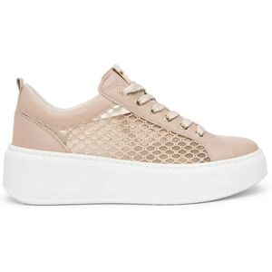 Ahead Nero Giardini Baskets E615292d Femme EU 35 Femme - Publicité Ahead Nero Giardini Baskets E615292d Femme EU 35 Femme - Publicité