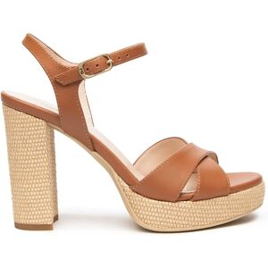 Ahead Nero Giardini Sandales E615810d Cognac EU 38 Femme - Publicité Ahead Nero Giardini Sandales E615810d Cognac EU 38 Femme - Publicité