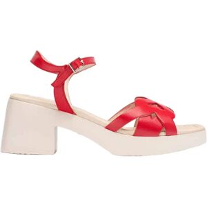 Wonders Sandales à Plateforme Catalina Red EU 38 Femme - Publicité Wonders Sandales à Plateforme Catalina Red EU 38 Femme - Publicité