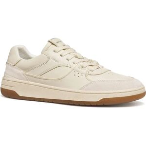 Geox Baskets Sedral Court Papyrus / Light Sand EU 44 Homme - Publicité Geox Baskets Sedral Court Papyrus / Light Sand EU 44 Homme - Publicité