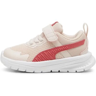 Puma Baskets Evolve Run Mesh Ac+ Island Pink / White / Tart Cherry EU 21 Garçon,Fille - Publicité Puma Baskets Evolve Run Mesh Ac+ Island Pink / White / Tart Cherry EU 21 Garçon,Fille - Publicité