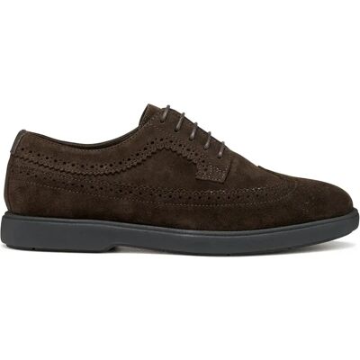 Geox Baskets Spherica Ec17 Dark Brown EU 42 Homme - Publicité Geox Baskets Spherica Ec17 Dark Brown EU 42 Homme - Publicité