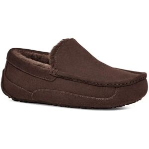 Ugg Pantoufles Ascot Dusted Cocoa EU 41 Homme