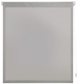 Mobelium Argent Easy Fix Auris Store Enrouleur  52x180 Mobelium Argent Easy Fix Auris Store Enrouleur  52x180