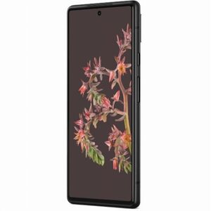 Google Pixel 6 128 Go Noir tourmente
