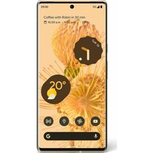 Google Pixel 6 Pro 128 Go Un peu ensoleillé