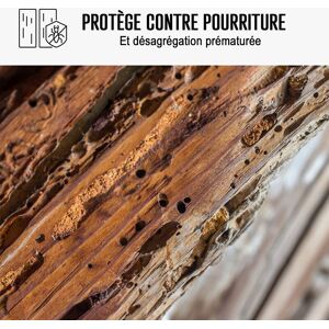 ARCANE INDUSTRIES Traitement mérule produit extérieur intérieur 200 L - Publicité ARCANE INDUSTRIES Traitement mérule produit extérieur intérieur 200 L - Publicité