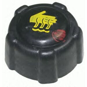 Bouchon Pour Vase D'expansion 1,4 Bars - Renault Megane 1.6 Dci 163 À Part. 11/2015 - Publicité Bouchon Pour Vase D'expansion 1,4 Bars - Renault Megane 1.6 Dci 163 À Part. 11/2015 - Publicité