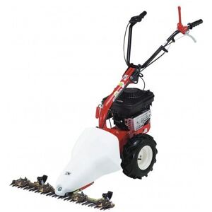 Motofaucheuse à section - barre de coupe 87 cm - B&S; series 450 - M210 EUROSYSTEMS - Publicité Motofaucheuse à section - barre de coupe 87 cm - B&S; series 450 - M210 EUROSYSTEMS - Publicité