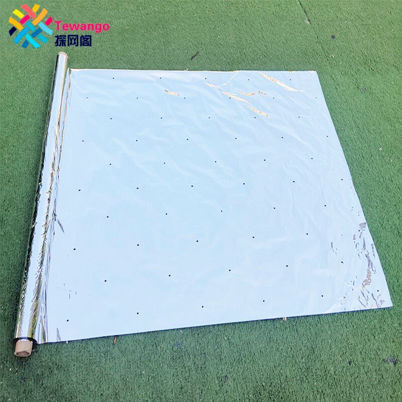Double Face Extérieure Réfléchissante Mylar Film Patch Serre Agricole Argent Enduit Paillis Fruits Favorisant La Couverture Chaude Rouge - Type With Hole-1x20m
