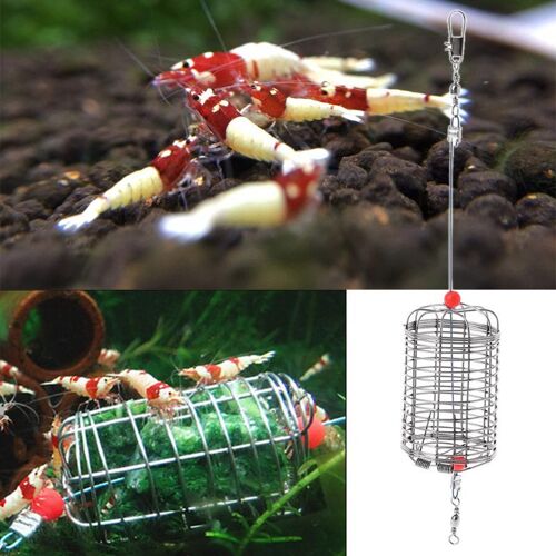 Cage D'alimentation Pour Poissons Et Crevettes, Petit Appât Pour Aquarium, Panier D'alimentation Sec Pour Les Épinards