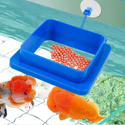 Anneau D'alimentation Flottant En Plastique Pour Poissons, Anneau D'alimentation Pour Aquarium, Plateau D'alimentation, Legendog