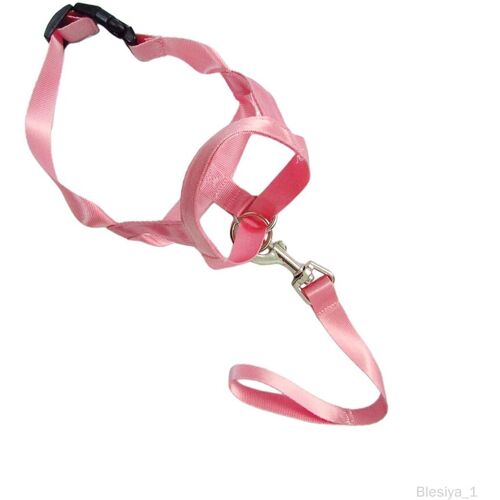 Collier Réglable Pour Chien En Tissu Doux, Accessoires Pour Animaux De Xl