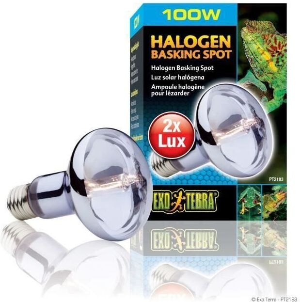 Les ampoules halogenes sont en fait une variation avancée de la technologie de l'ampoule incandescente image