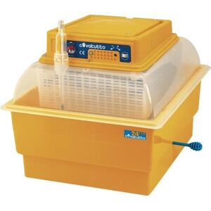 Incubateur Covatutto Maxi - Capacité 24 Œufs - Incubateur - Publicité Incubateur Covatutto Maxi - Capacité 24 Œufs - Incubateur - Publicité