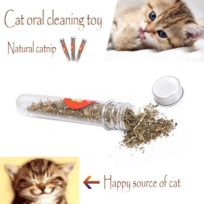 Pet Supplies Cat Natural Cataire Jouets Propres Jouets Pour Animaux Oral Chat Monnaie De Santé Naturels Fkt71