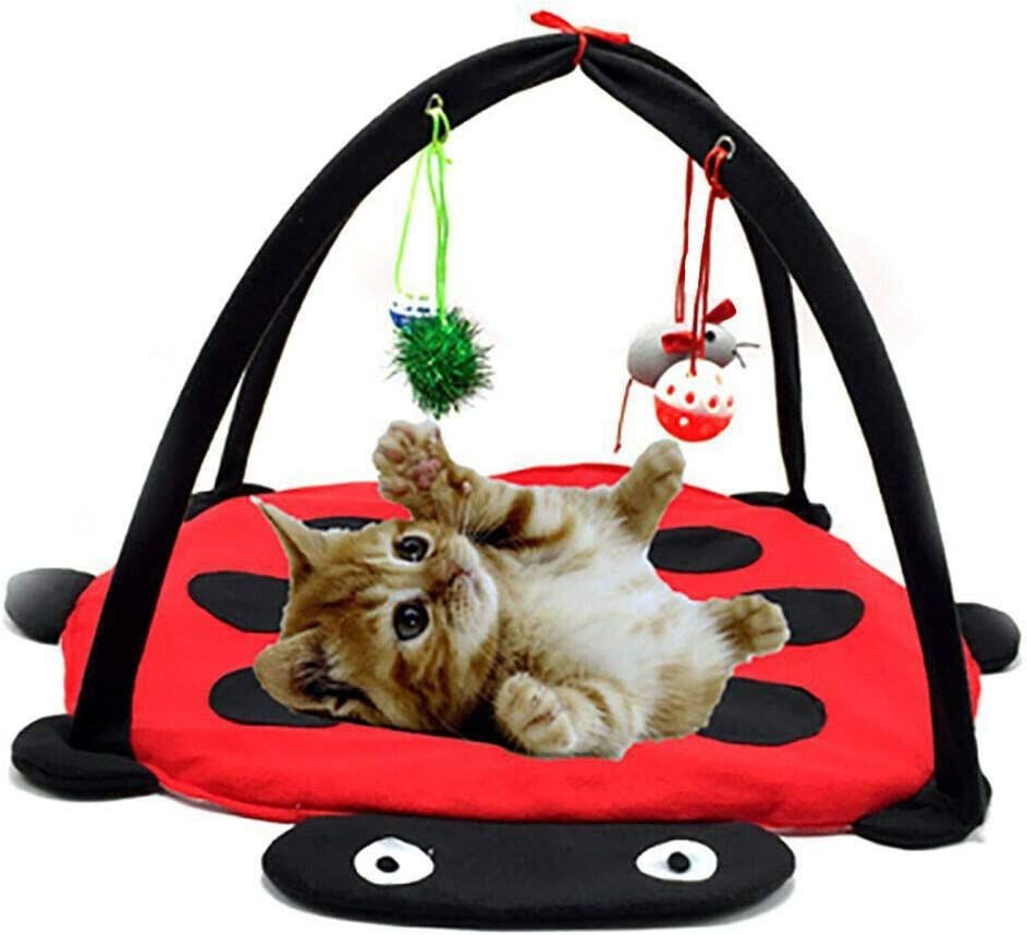 Jeux Balle Jouet Pour Chat Animaux?Animaux De Compagnie Chaton Jouet,Interactive Jouet,Lit?Coussin