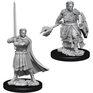 Donjons & Dragons Nolzur's Wonderfulous Unpainted Minis: Male Human Cleric