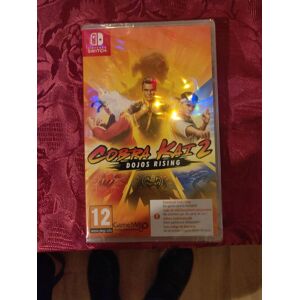Cobra Kai 2 - Dojos Rising Nintendo Switch - Code