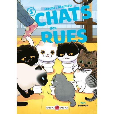 Bamboo Hachi & Maruru - Chats des rues tome 5 - Publicité Bamboo Hachi & Maruru - Chats des rues tome 5 - Publicité