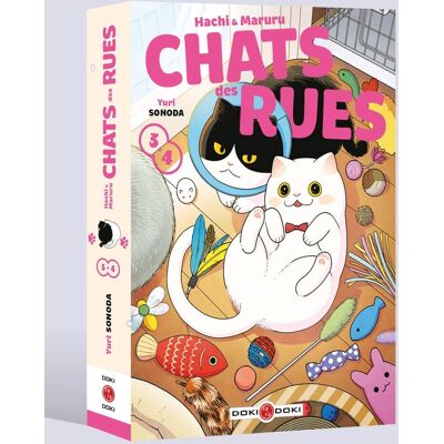 Bamboo Hachi & Maruru - Chats des rues - coffret tomes 3 et 4 - Publicité Bamboo Hachi & Maruru - Chats des rues - coffret tomes 3 et 4 - Publicité