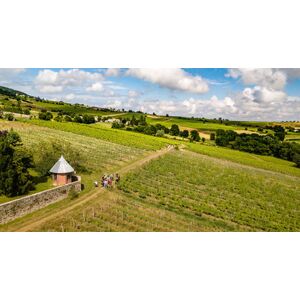 Cap Adrénaline Chasse au trésor dans un domaine viticole au cœur du Beaujolais - Publicité Cap Adrénaline Chasse au trésor dans un domaine viticole au cœur du Beaujolais - Publicité