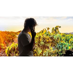 Cap Adrénaline Visite de domaine et dégustation de vins à Châteauneuf-du-Pape près d'Avignon - Publicité Cap Adrénaline Visite de domaine et dégustation de vins à Châteauneuf-du-Pape près d'Avignon - Publicité