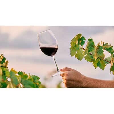 Cap Adrénaline Visite de cave et dégustation de vins à Veyre-Monton près de Clermont-Ferrand - Publicité Cap Adrénaline Visite de cave et dégustation de vins à Veyre-Monton près de Clermont-Ferrand - Publicité