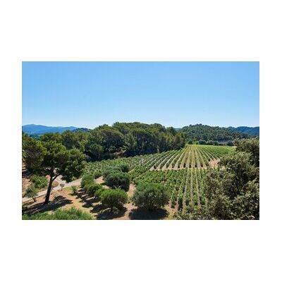 Cap Adrénaline Visite dégustation au sein d'un domaine viticole à Pierrefeu-du-Var près de Toulon - Publicité Cap Adrénaline Visite dégustation au sein d'un domaine viticole à Pierrefeu-du-Var près de Toulon - Publicité