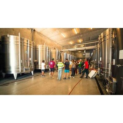 Cap Adrénaline Visite et dégustation de vins au sein d'un domaine viticole à Chinon - Publicité Cap Adrénaline Visite et dégustation de vins au sein d'un domaine viticole à Chinon - Publicité