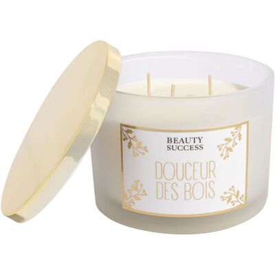 Beauty Success - Douceur Des Bois Bougie Parfumée 330g - Publicité Beauty Success - Douceur Des Bois Bougie Parfumée 330g - Publicité
