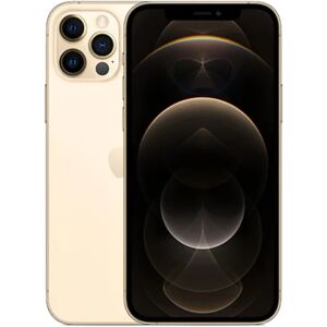 Apple - iPhone 12 Pro Max - 512 Go -