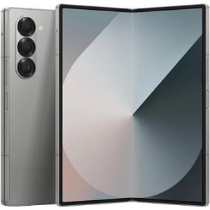 Samsung Galaxy Z Fold6 256 Go Gris