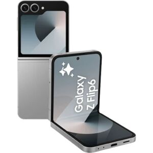 Samsung Galaxy Z Flip6 256 Go Gris