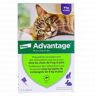 BAYER Advantage 80 pour chat et lapin de 4kg et plus 4x 0.8ml