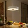 Philips Hue Fair Suspension LED avec variateur, 8719514341319,