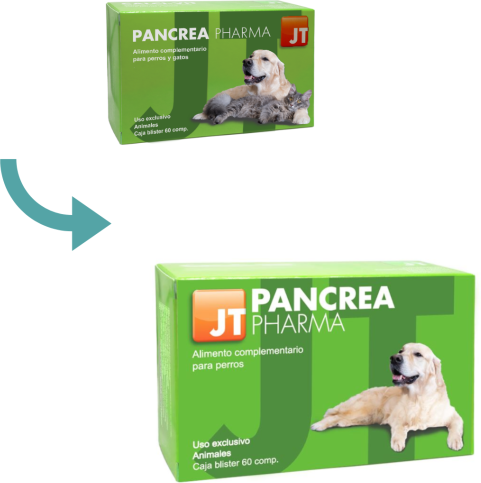 Jtpharma Supplément Diététique Chiens Et Chats Pancréas Pharma 60