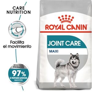 Royal Canin Aliment Animal Maxi Joint Care 10 Kg - Publicité