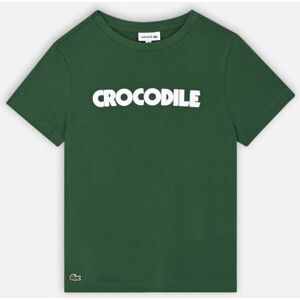 Tee-shirt enfant Croco TJ7951 par Lacoste Vert 14A Accessoires - Publicité