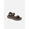 Langdon Sandal par Teva Marron 42 Homme