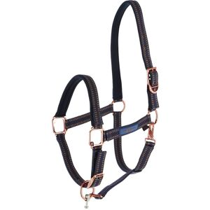 Licol GoLeyGo 2.0 pour cheval, bleu-caramel, taille demi-sang (T. 3)