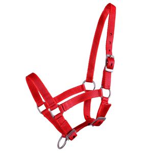 Licol pour poulain de QHP, réglable sur 3 positions, rouge, taille 04