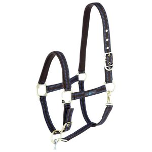 Licol GoLeyGo 2.0 pour cheval, marron-bleu ciel, taille poney (T. 1)